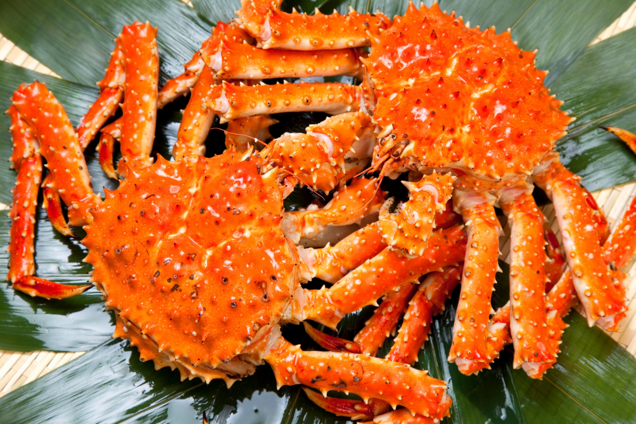 'Live king crab for 3,000 won a pound &mdash; worth it just for the seafood': Chinese tourists flock to North Korea's Rason