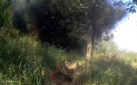 Landmine probe highlights conflicting standards for Korea&rsquo;s military boundary