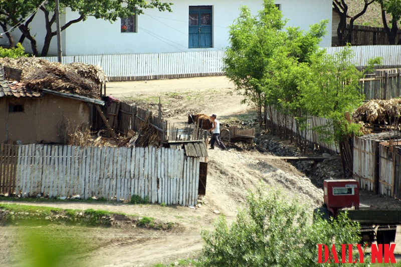 Pyongsong orders young singles to resettle in North Korean farm villages